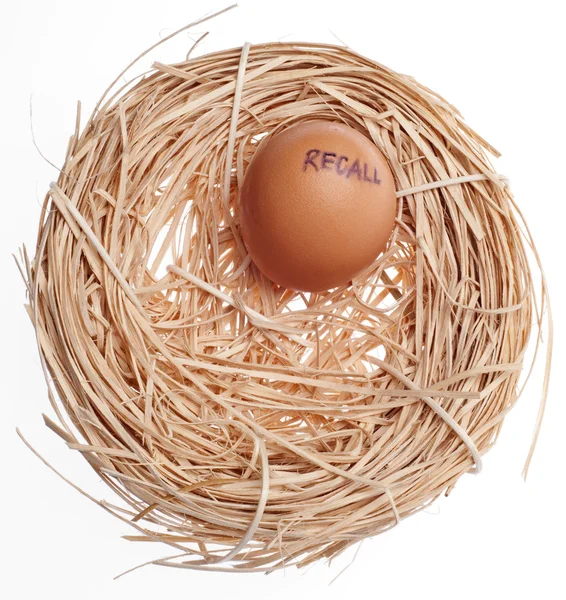 Odvolání koncept vejce v hnízdě — Stock fotografie