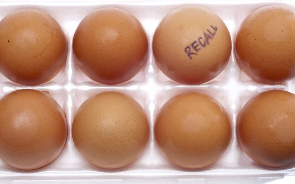 Recolha de ovos — Fotografia de Stock