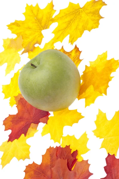 Φθινόπωρο μήλο — Φωτογραφία Αρχείου