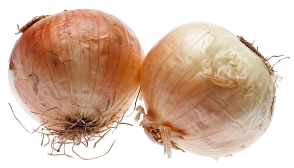 Pair of Raw Onions — Stock Photo, Image