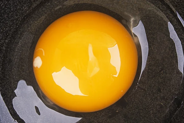 Ωμό αυγό — Φωτογραφία Αρχείου
