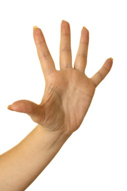 Five fingers clipart