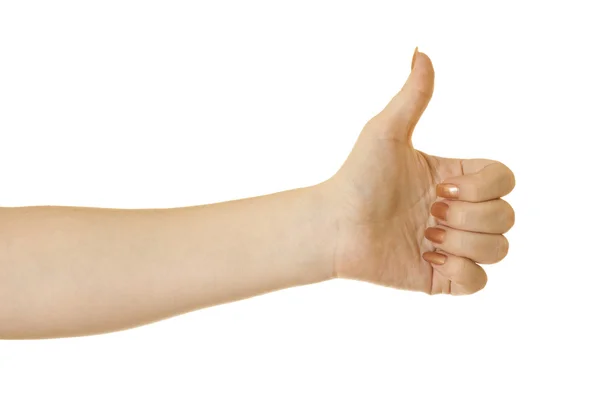 stock image Thumb Up