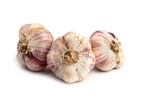 stock image Garlic