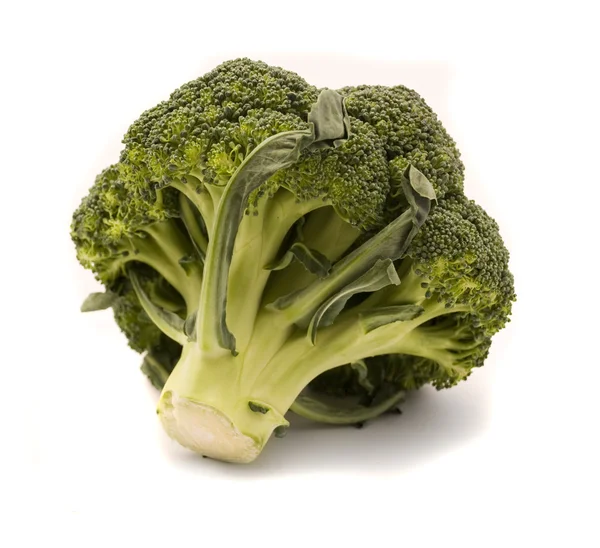 Brócoli aislado en blanco — Foto de Stock
