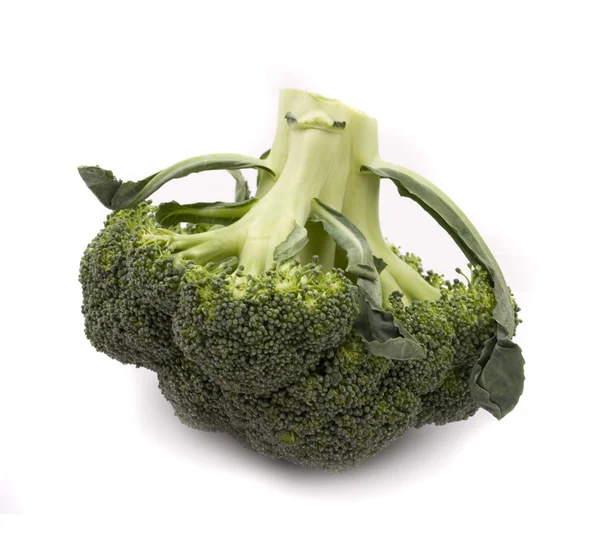 Broccoli isolerad på vitt — Stockfoto