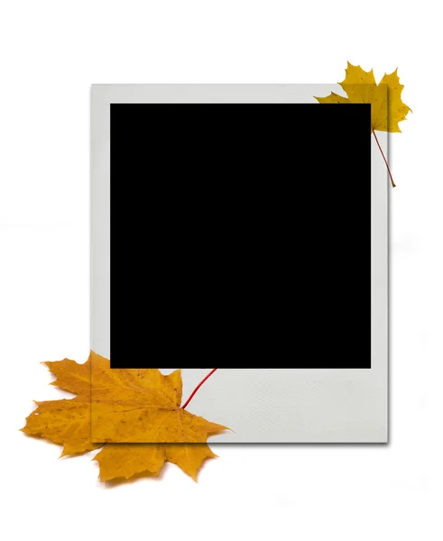 Blank Polaroid card, autumn design — Stock Photo, Image