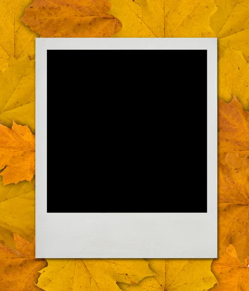 Tarjeta Polaroid en blanco, diseño otoñal — Foto de Stock