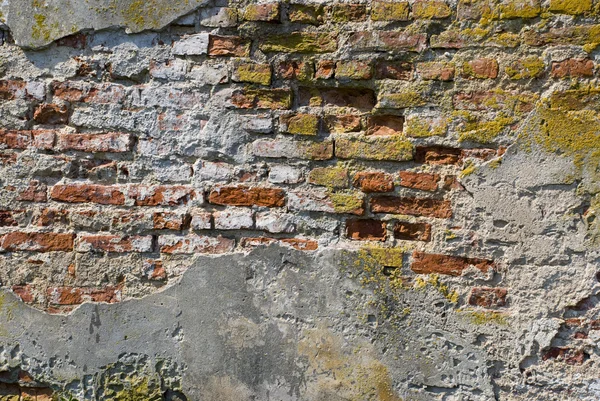 Middeleeuwse bakstenen muur — Stockfoto