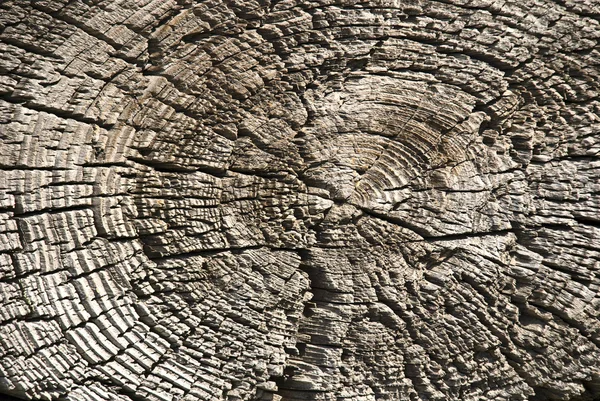 Textura de madera vieja, fondo de alta calidad — Foto de Stock