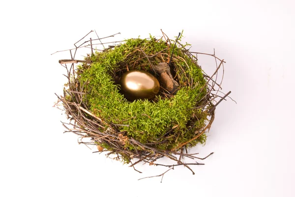 Gouden ei in een nest — Stockfoto