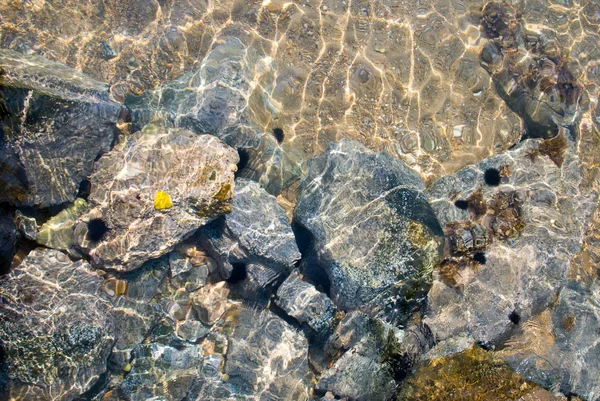 Unter klarem Wasser — Stockfoto