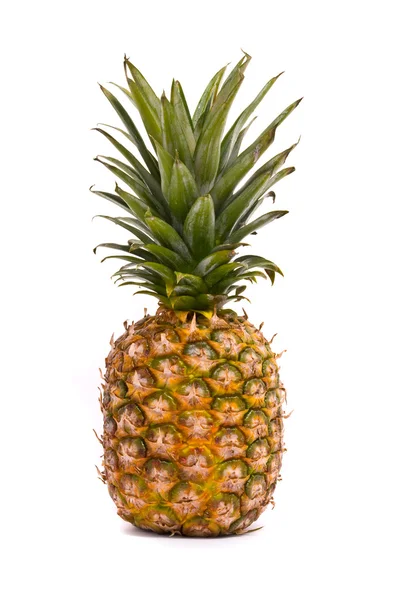 En hel ananas — Stockfoto