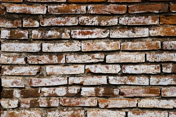 Ladrillos fondo de pared — Foto de Stock