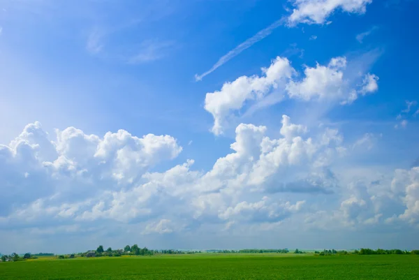 Modrá obloha a zelené pole — Stock fotografie