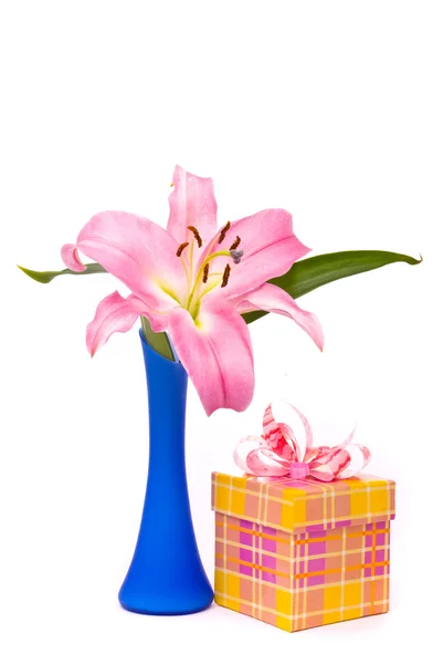 Rosa Lilie und Geschenkschachtel auf weißem Hintergrund — Stockfoto