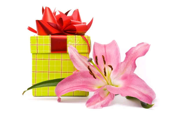 Розовая лилия и подарочная коробка на белом фоне — стоковое фото
