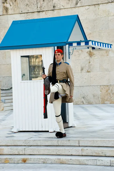 Stock image Ceremonial guard