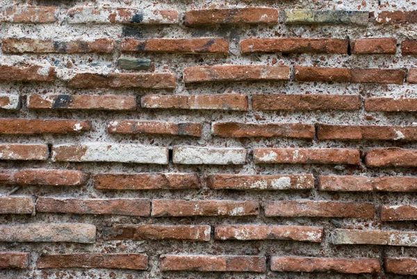 レンガ壁の背景 — ストック写真