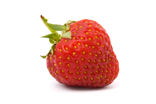 희게 익은 딸기 — 스톡 사진