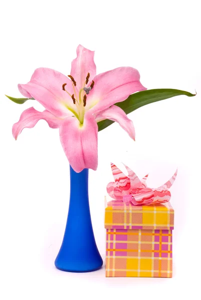 Růžové lilie a dárkové krabice na bílém pozadí — Stock fotografie