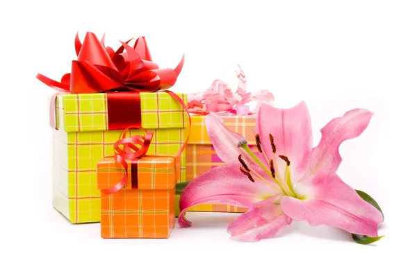 Pink lily and gift box on a white background — Stock Photo, Image
