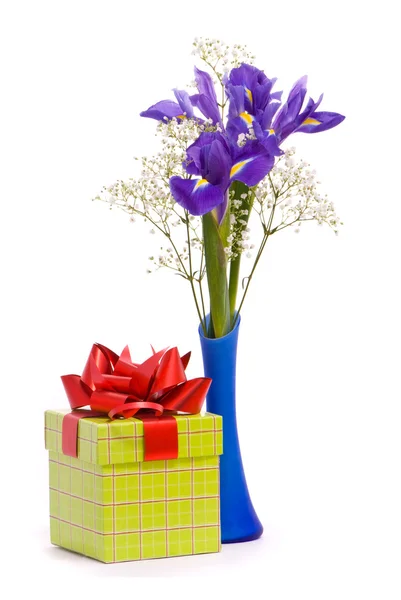 アイリスの花束、ギフト ボックス — ストック写真