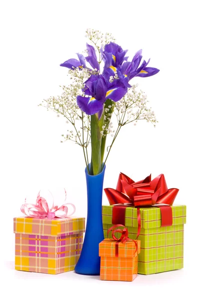 Bouquet of a irises and gift box — Stock Photo, Image