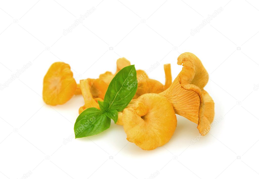 Some chanterelles with basil