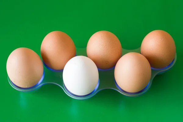 Seis ovos — Fotografia de Stock