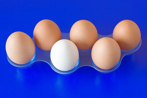 ताजे अंडी — स्टॉक फोटो, इमेज