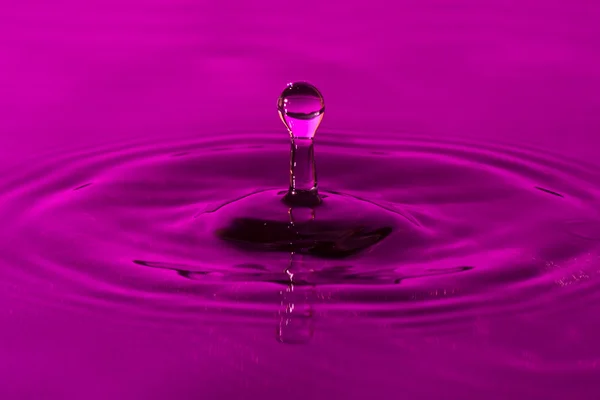 紫色滴 — 图库照片