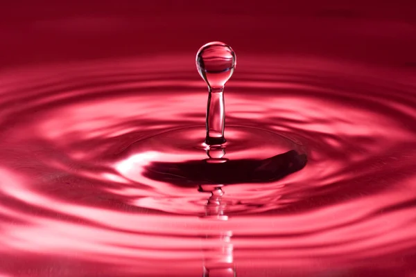 붉은 물방울 — 스톡 사진