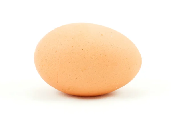 Egg Stock Picture