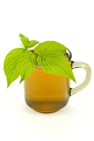 Té y hojas verdes sobre fondo blanco —  Fotos de Stock