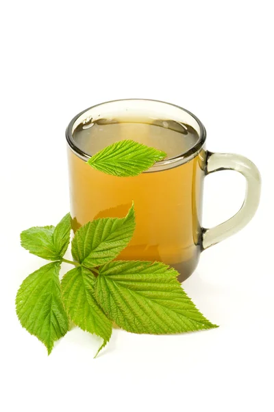 stock image Cup of green tea