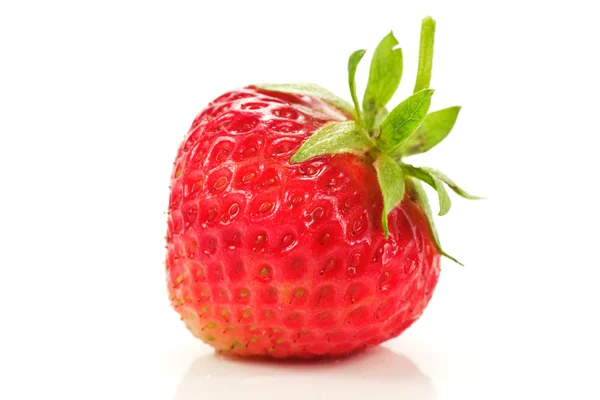 Rote frische Erdbeere — Stockfoto