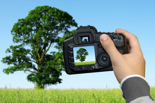 Photographer photographing landscape — Stock Photo, Image