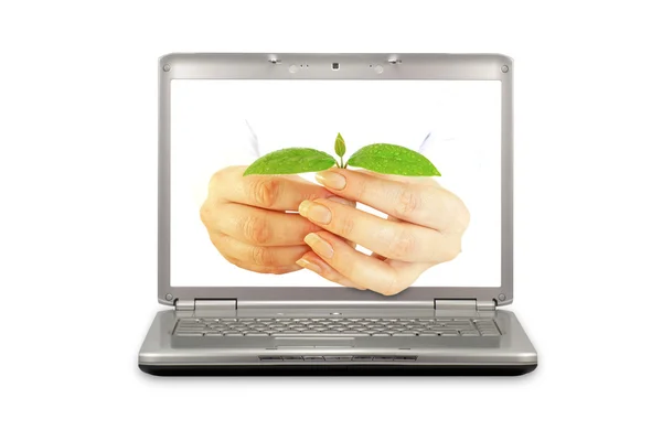 Computers and ecology — Stock Photo, Image