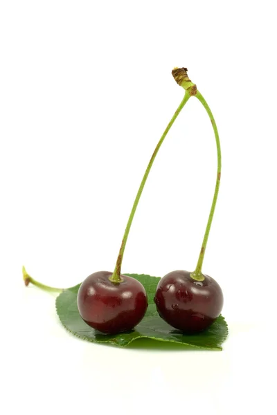 Dark red cherries — Stock Photo, Image