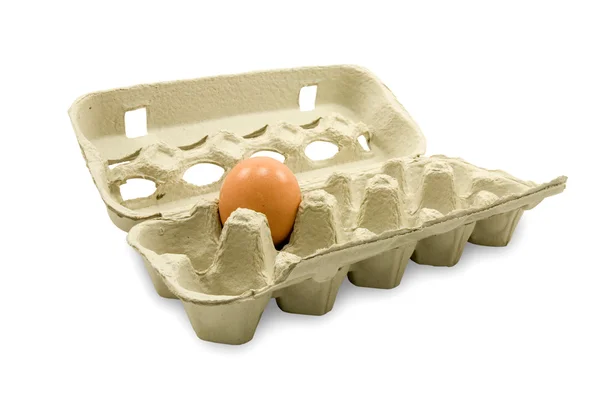 Open eggs cardboard with one egg — Stock Photo, Image