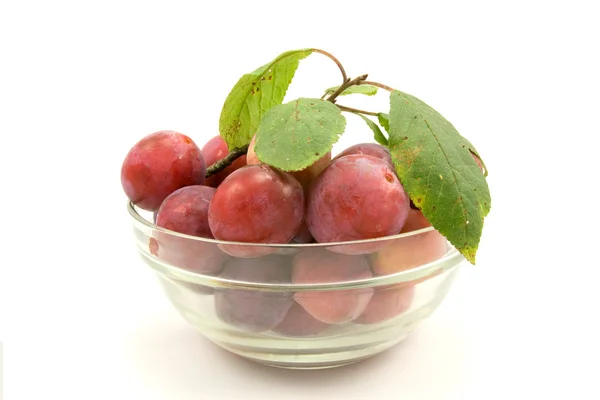 Dish with plums — Stock Photo, Image