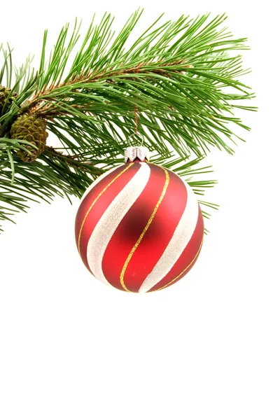 クリスマス ボールと松の枝 — ストック写真