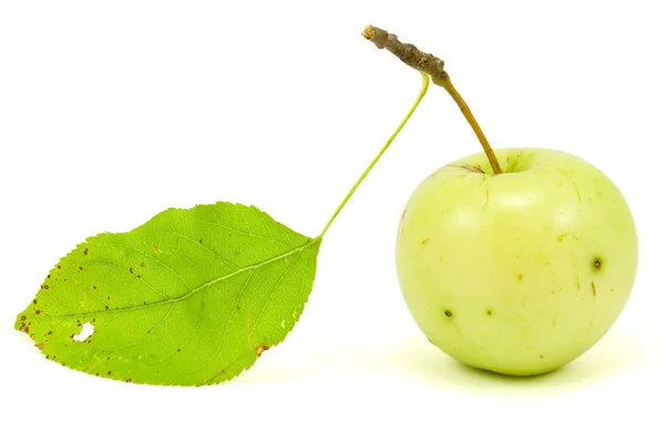 Yellow apple with leaf — Stock Photo, Image