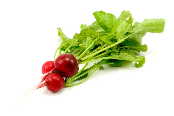 stock image Red organic radishes