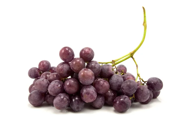Куча голубого винограда — стоковое фото