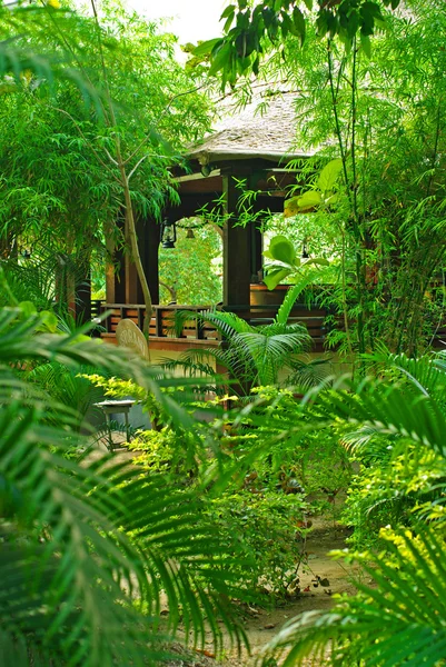 Veranda ในสวนเขตร้อน — ภาพถ่ายสต็อก