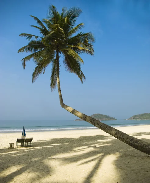 stock image Tropical beach