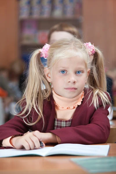 Cute Schoolgirl on real lesson Royalty Free Stock Images