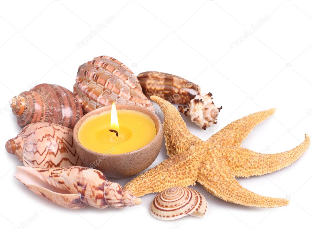 Seashells, starfish and candle